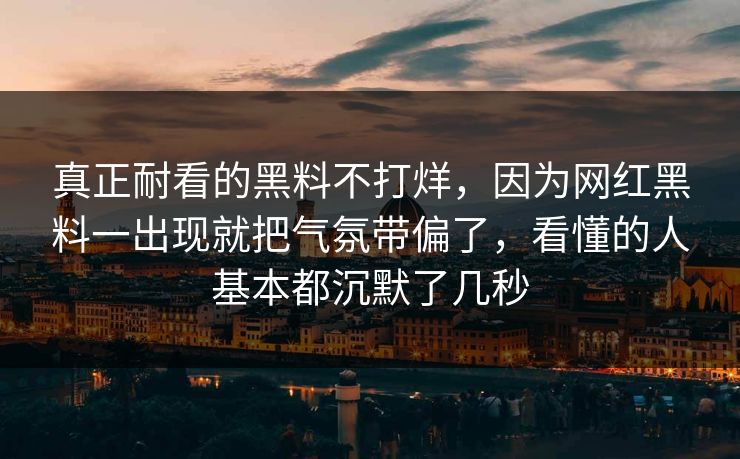 真正耐看的黑料不打烊，因为网红黑料一出现就把气氛带偏了，看懂的人基本都沉默了几秒