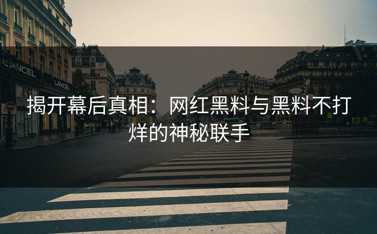揭开幕后真相：网红黑料与黑料不打烊的神秘联手