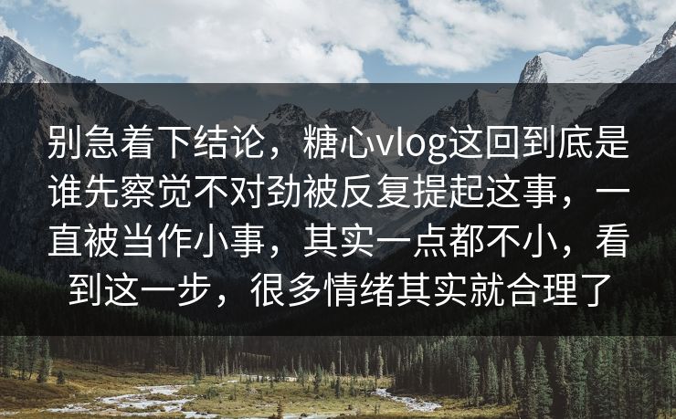 别急着下结论，糖心vlog这回到底是谁先察觉不对劲被反复提起这事，一直被当作小事，其实一点都不小，看到这一步，很多情绪其实就合理了
